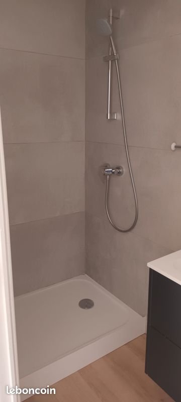 Appartement à louer, 30m², Saint-Étienne