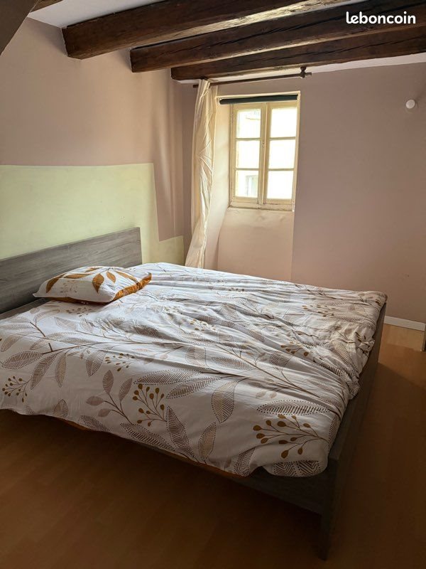 Appartement à louer, 60m², Mende