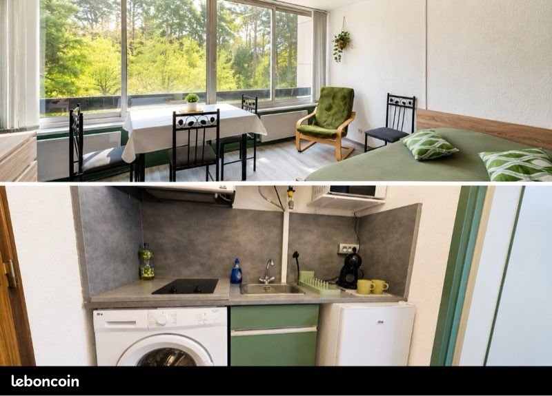 Appartement à louer, 22m², Turckheim