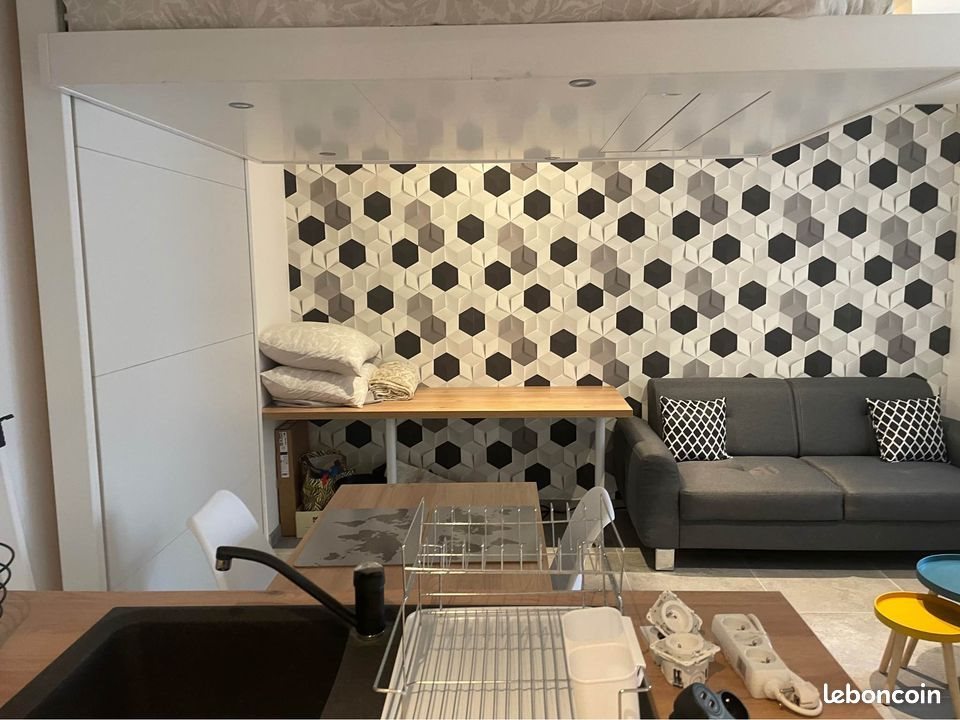 Appartement à louer, 25m², Saint-Etienne