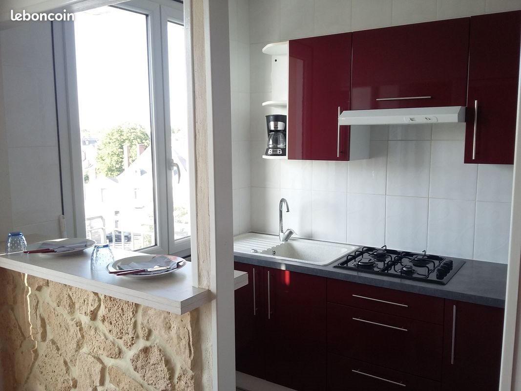 Appartement à louer, 25m², Saint-Cyr-sur-Loire