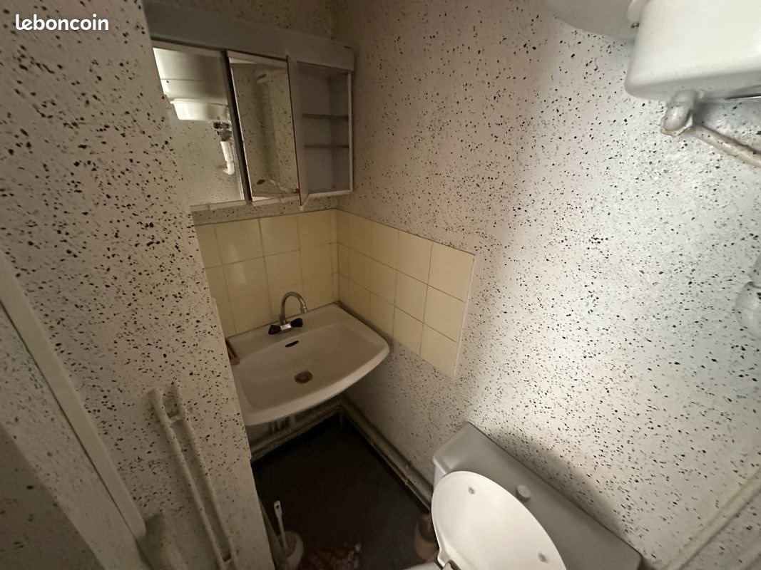 Appartement à vendre, 19m², Saint-Étienne