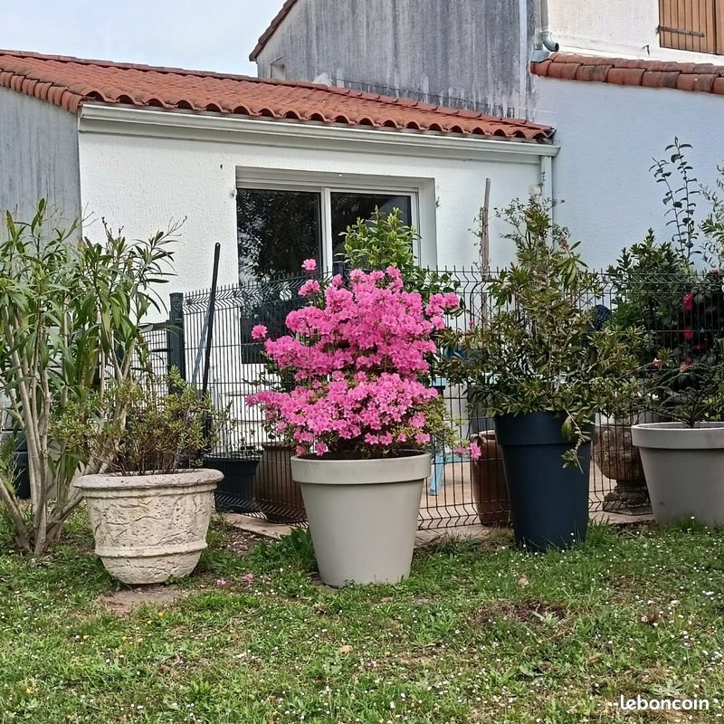 Appartement à vendre, 26m², Royan