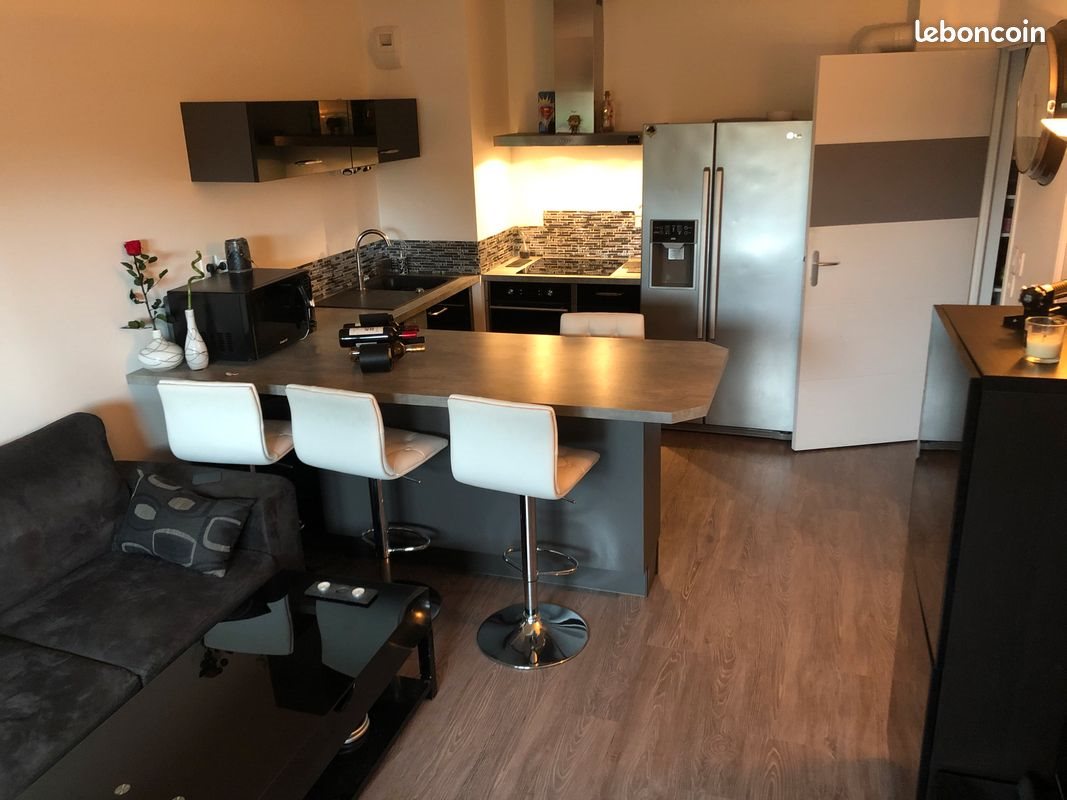 Appartement à louer, 44m², Tours