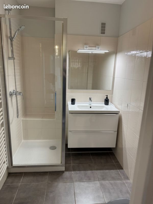 Appartement à louer, 40m², Metz