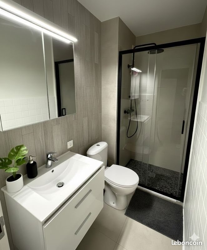 Appartement à louer, 25m², Ambilly