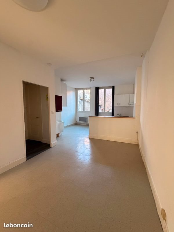 Appartement à louer, 55m², Saint-Étienne