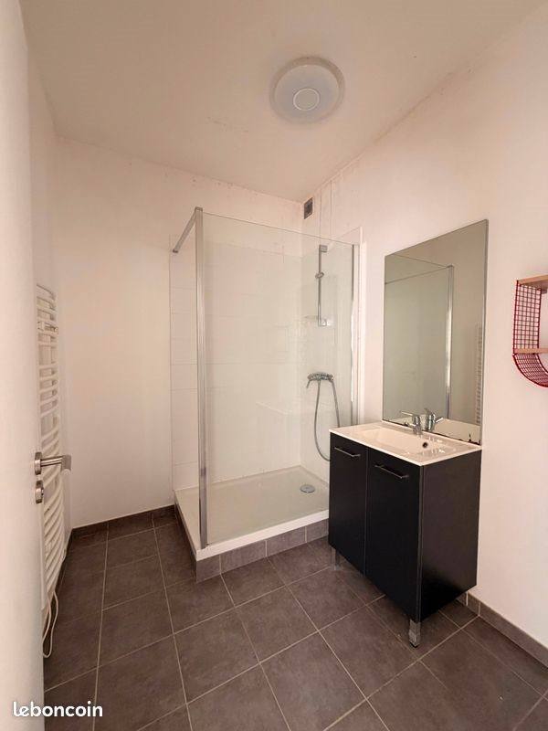 Appartement à louer, 55m², Saint-Étienne