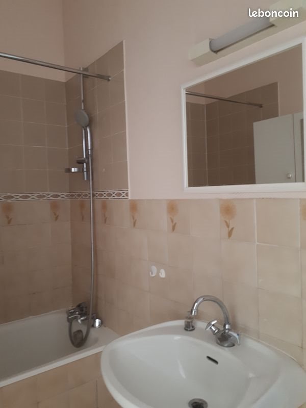 Appartement à louer, 25m², Nancy