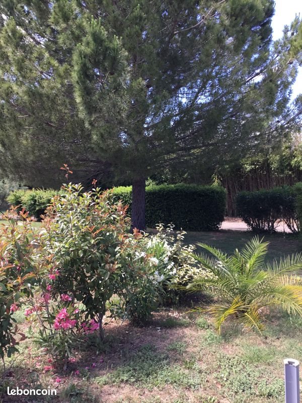 Maison à louer, 45m², Gallargues-le-Montueux