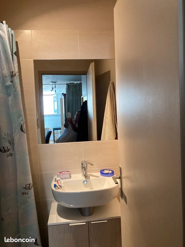 Appartement à louer, 20m², Sainte-Foy-lès-Lyon