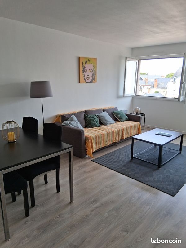 Appartement à louer, 55m², Tours