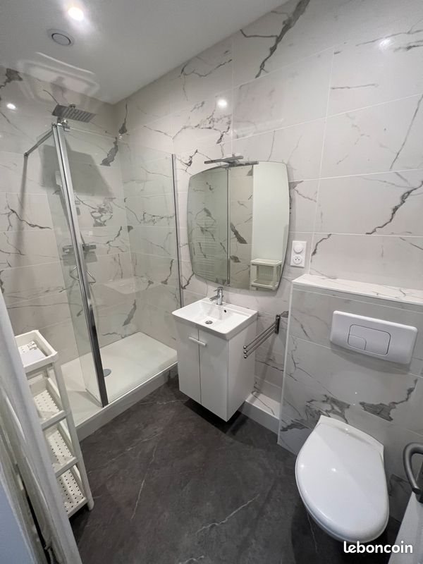 Appartement à louer, 19m², Nancy