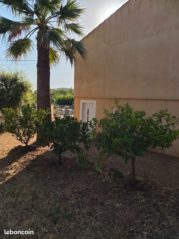 Appartement à louer, 45m², Carnoules