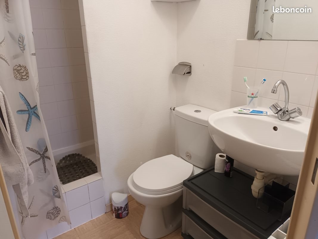 Appartement à vendre, 19m², Vannes