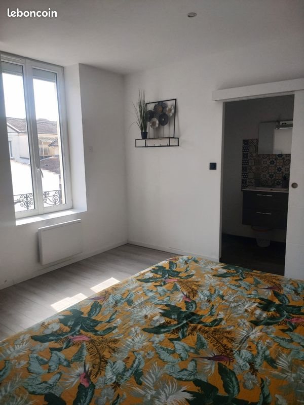 Appartement à louer, 42m², Roanne
