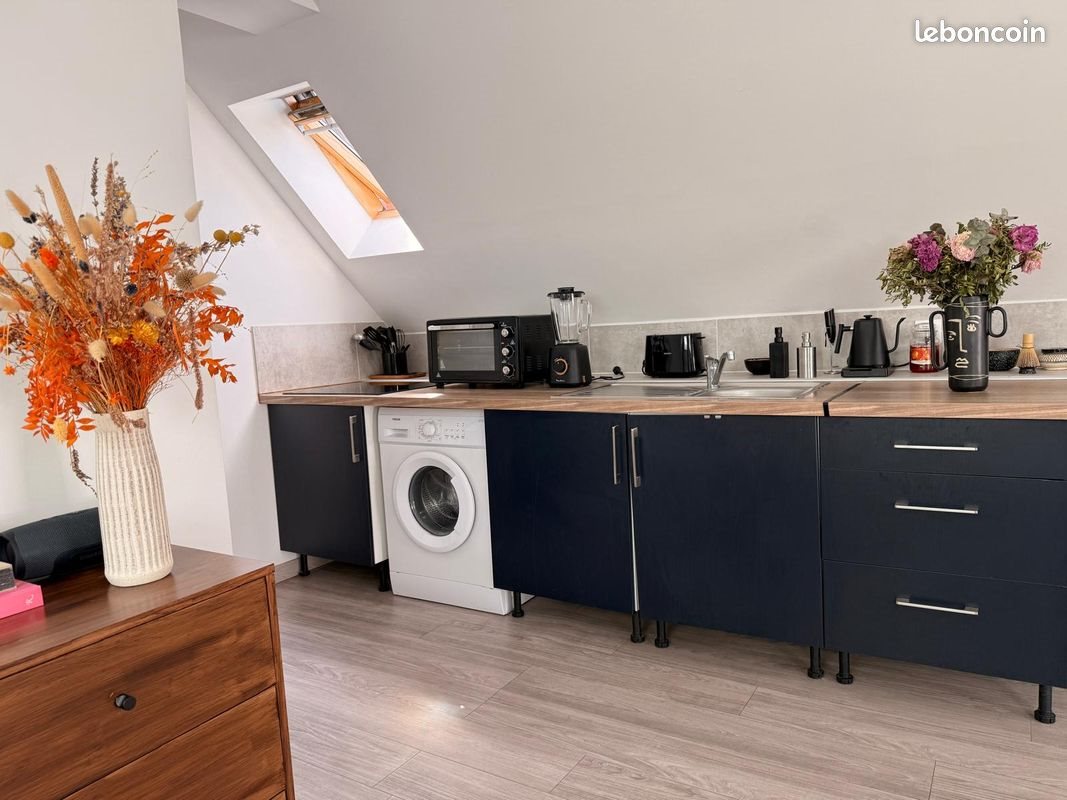 Appartement à louer, 50m², Tours