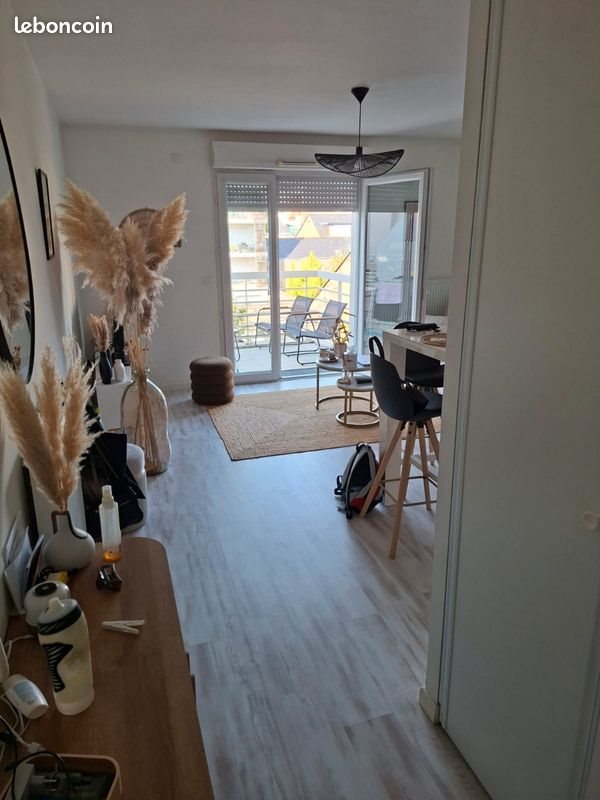 Appartement à louer, 41m², Angers