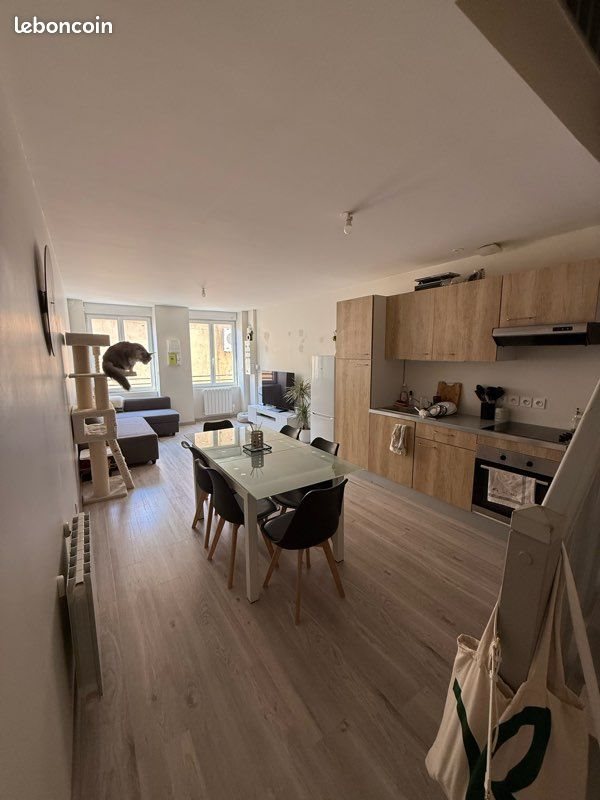 Appartement à louer, 57m², Beaurepaire