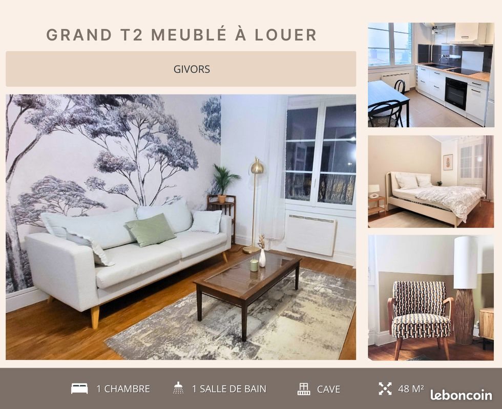 Appartement à louer, 48m², Givors