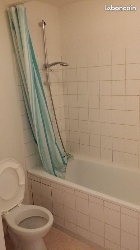 Appartement à louer, 30m², Nancy