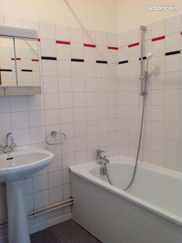 Appartement à louer, 23m², Nancy