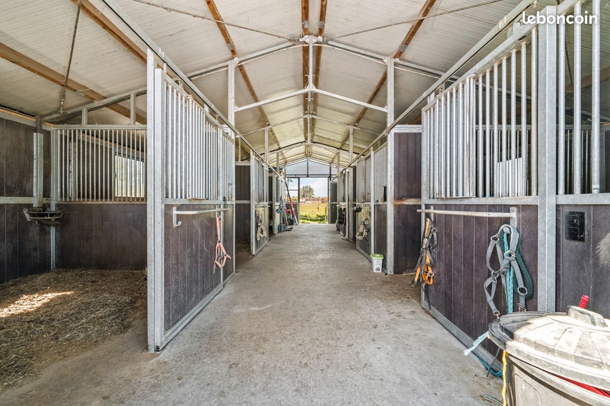 Maison à vendre, 250m², Bousbecque