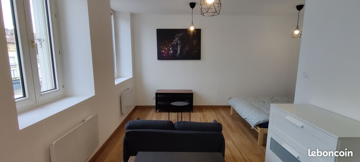 Appartement à louer, 25m², Rive-de-Gier