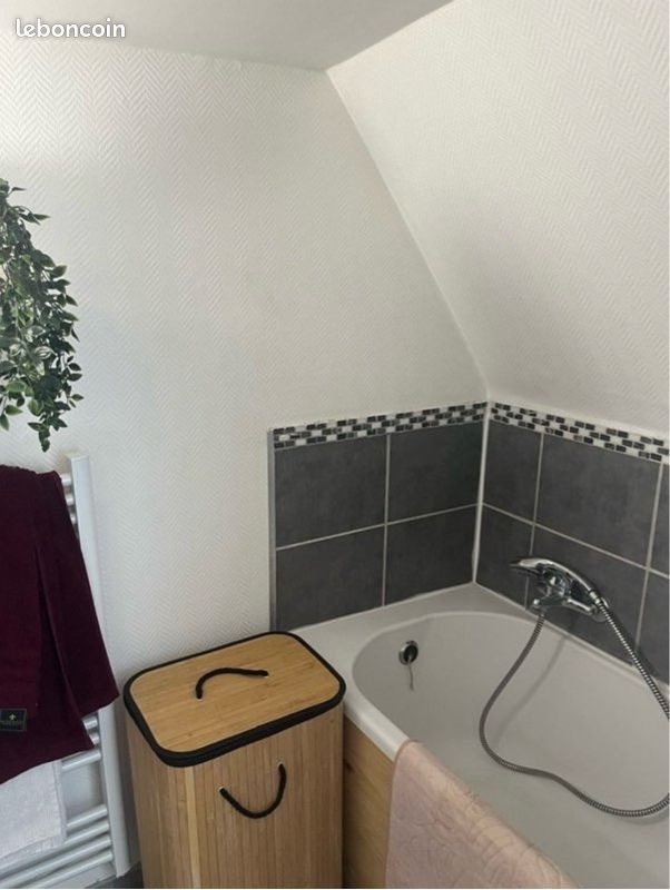 Appartement à louer, 34m², Marchiennes