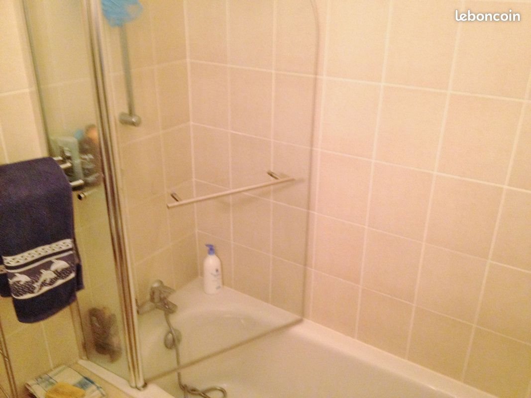 Appartement à louer, 53m², Blois