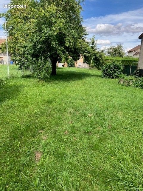 Maison à louer, 90m², Sierentz