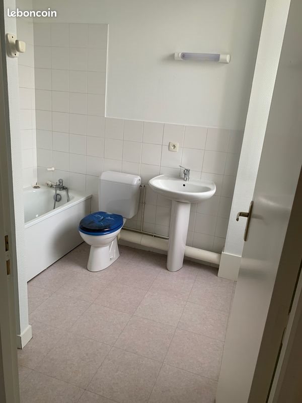 Appartement à louer, 42m², Crottet