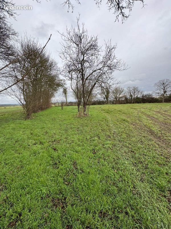 Maison à vendre, 60m², Saint-Aubin-de-Locquenay