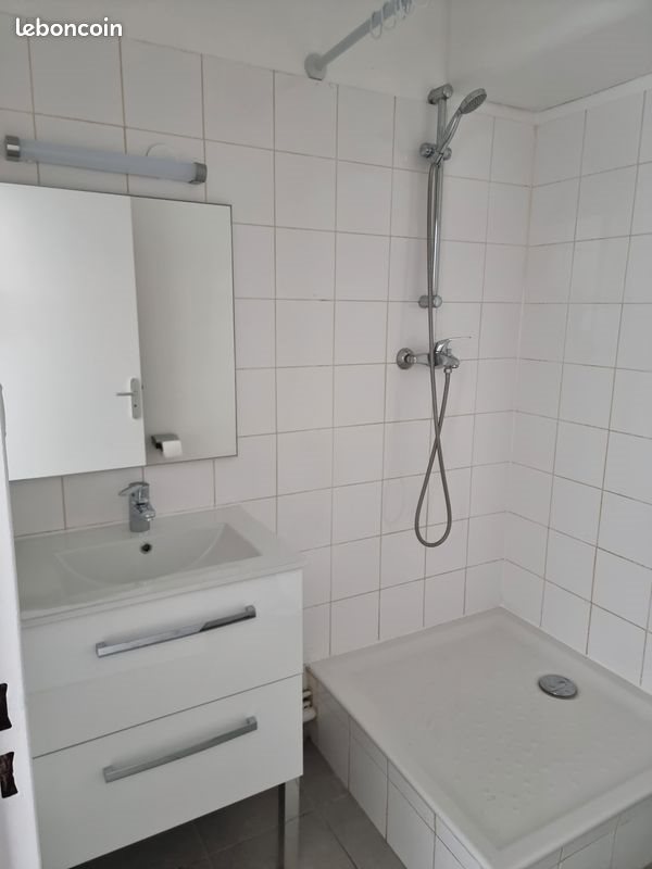 Appartement à louer, 19m², Villeurbanne