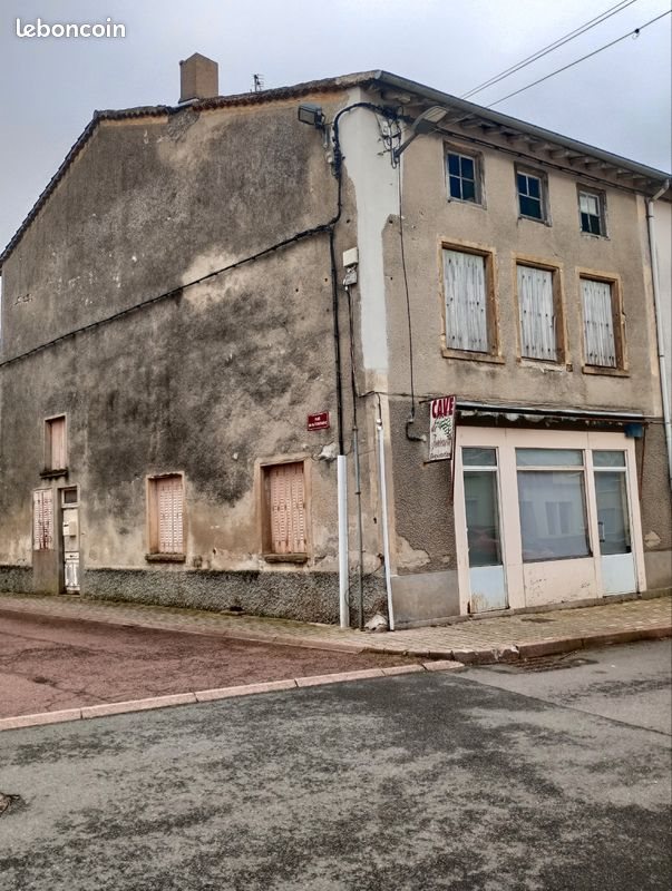 Maison à vendre, 180m², Saint-Just-la-Pendue