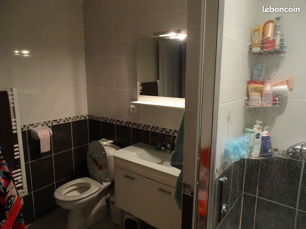 Appartement à louer, 50m², Puissalicon