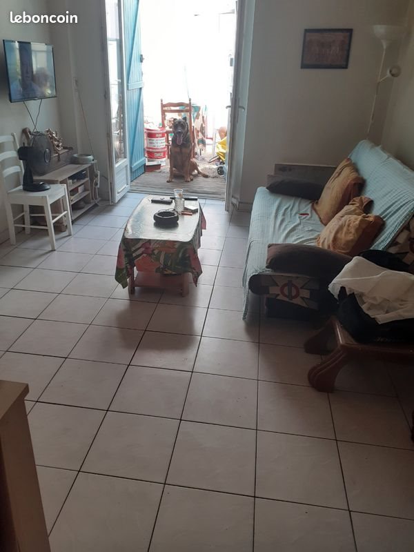 Appartement à vendre, 39m², Amélie-les-Bains-Palalda