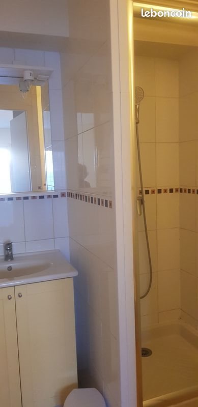 Appartement à louer, 20m², Nantes