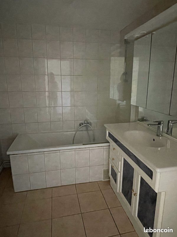 Appartement à louer, 48m², Aspach