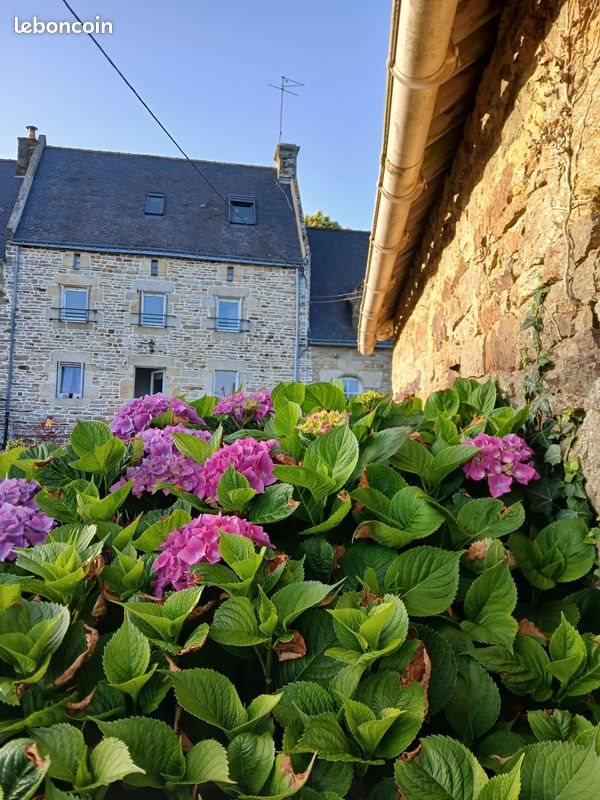 Maison à vendre, 85m², Pluvigner