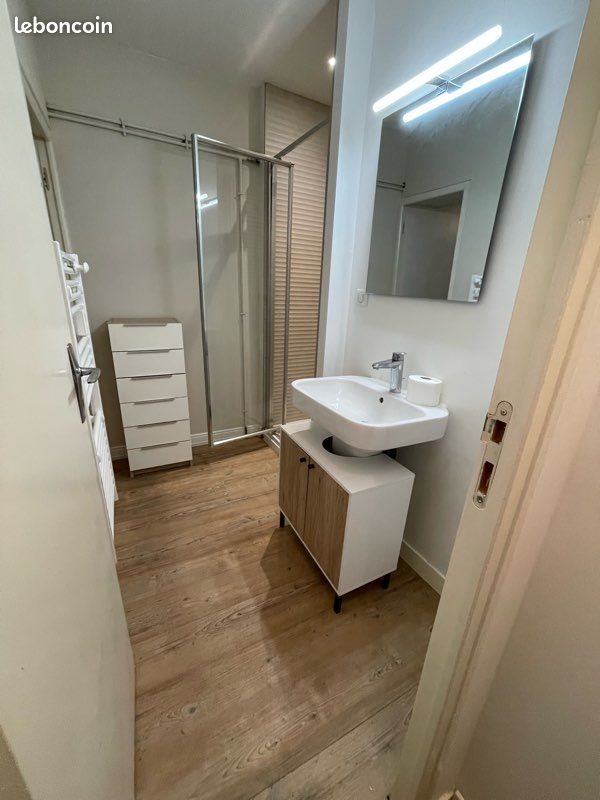 Appartement à louer, 40m², Orléans