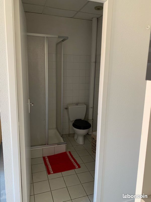 Appartement à louer, 22m², Saint-Étienne