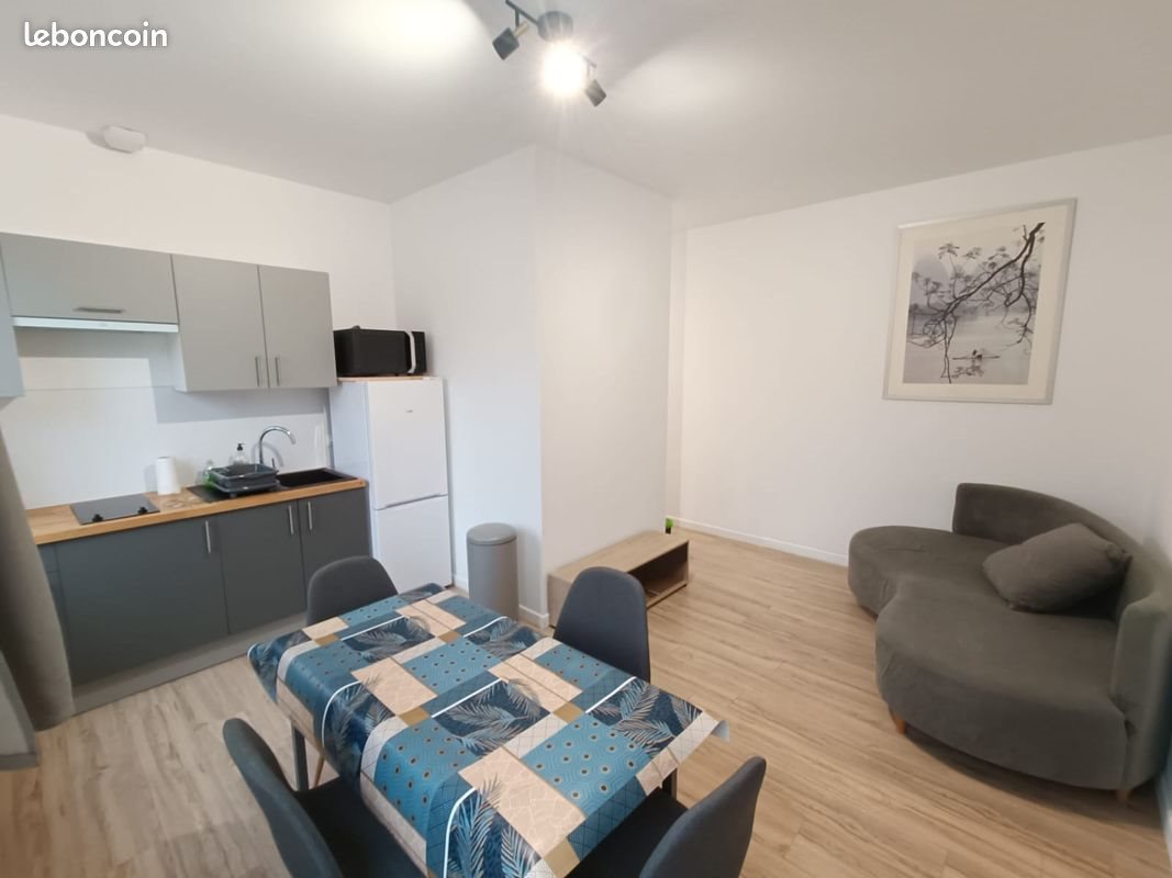 Appartement à louer, 43m², Saint-Etienne