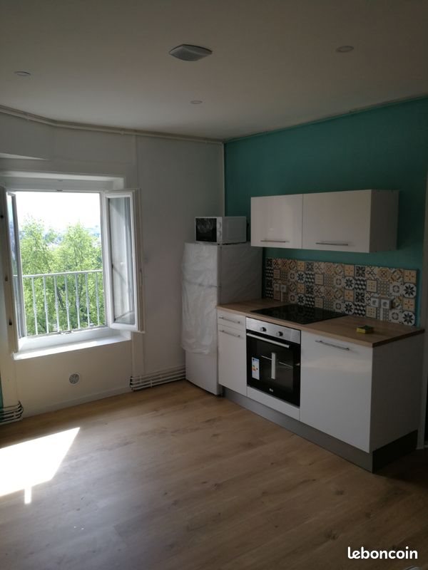 Appartement à louer, 55m², Saint-Étienne