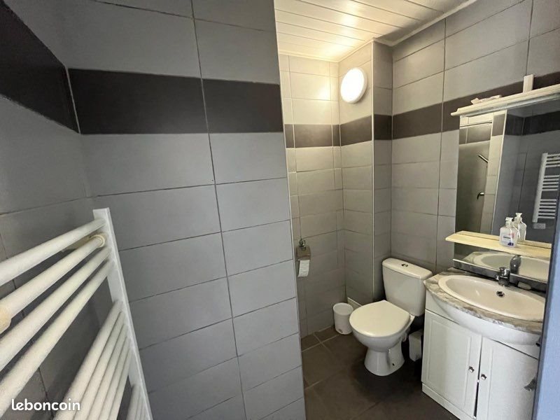 Appartement à louer, 20m², Rodez