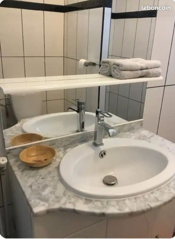 Appartement à louer, 26m², Faches-Thumesnil