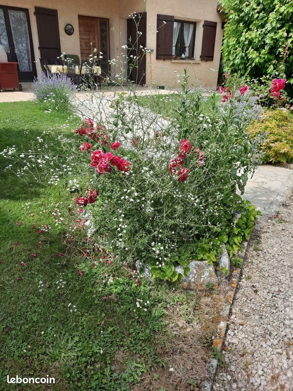 Maison à vendre, 178m², Beaumont-sur-Lèze