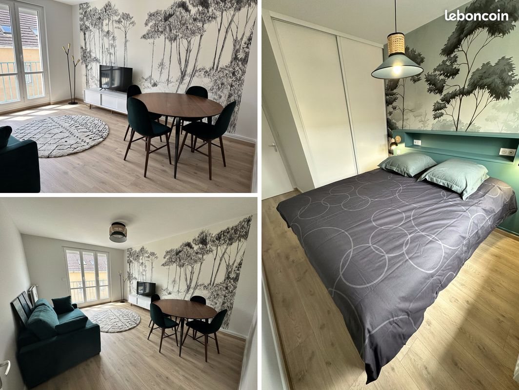 Appartement à louer, 44m², Troyes