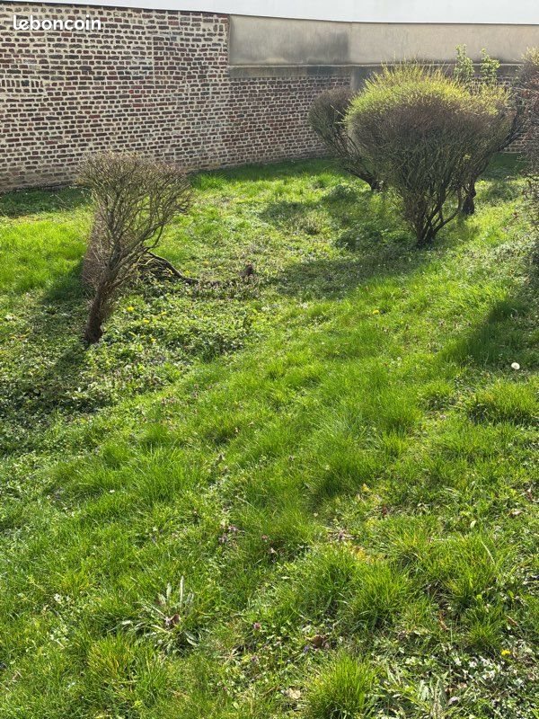 Maison à louer, 70m², Lesquielles-Saint-Germain