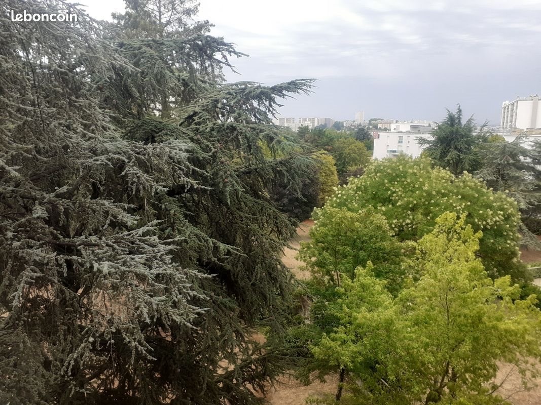 Appartement à louer, 137m², Caluire-et-Cuire